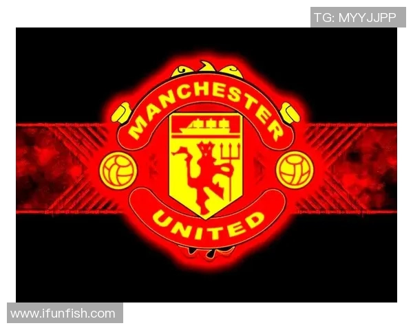 足球明星队徽全景展示与背后故事解析